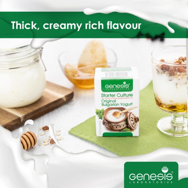 Producto cultivo natural para yogur búlgaro espeso y cremoso
