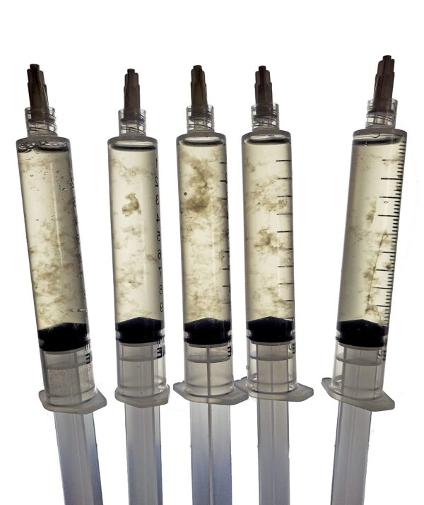 Cultivos líquidos de micelio viva Earth Cap Mushrooms paquete 5 Wood Lover