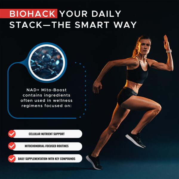 Ilustración de ingredientes clave NAD+, PQQ y B12