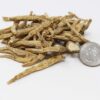Raíces seleccionadas de ginseng americano DABC OAK LAND