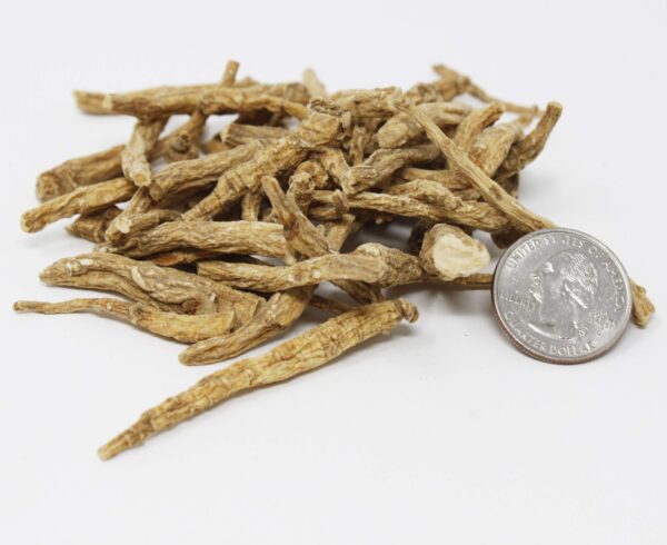 Raíces seleccionadas de ginseng americano DABC OAK LAND
