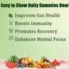 Daily Gummies ingredientes saludables y nutrientes