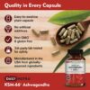 DailyNutra cápsulas KSM-66 Ashwagandha potencia antioxidante