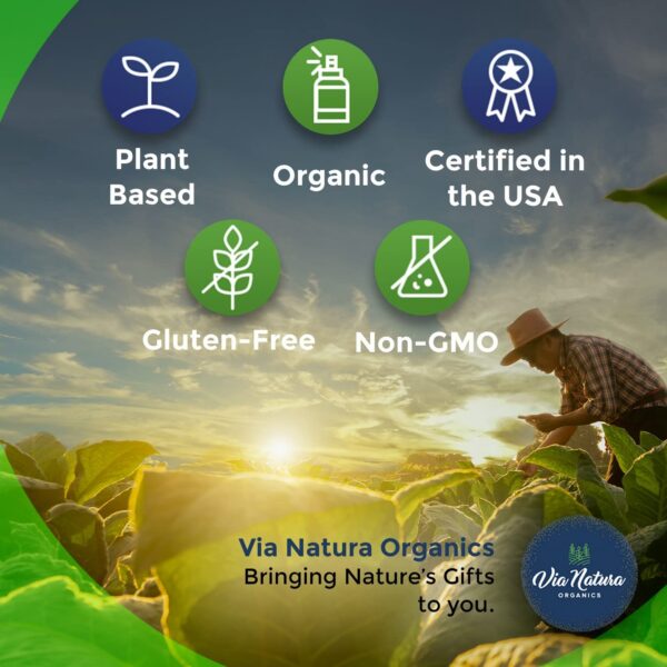 Version 1.0.0 Cápsulas Via Natura con extracto orgánico de saúco