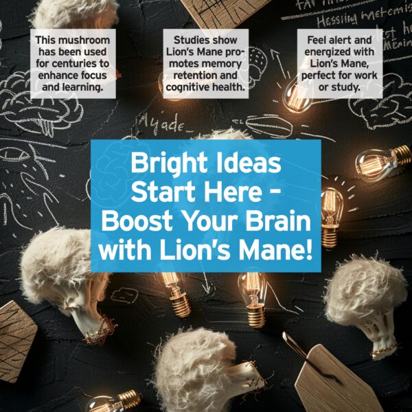 Detalle botella y gotero tintura Lion’s Mane FUNGISIP