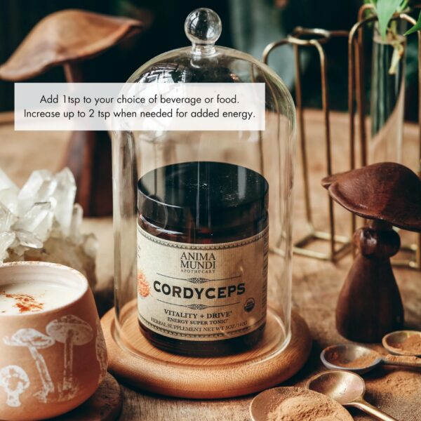 Detalle caja polvo de hongo cordyceps Anima Mundi