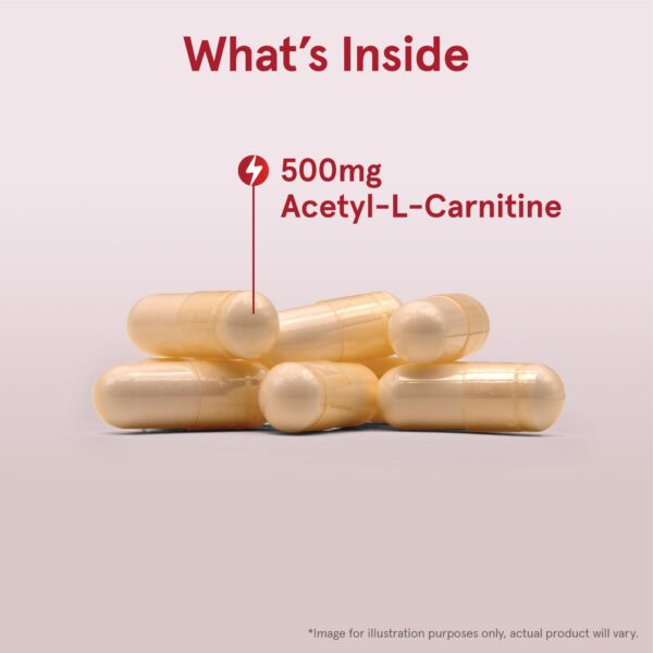 Detalle de cápsula de Acetil L-Carnitina 500 mg