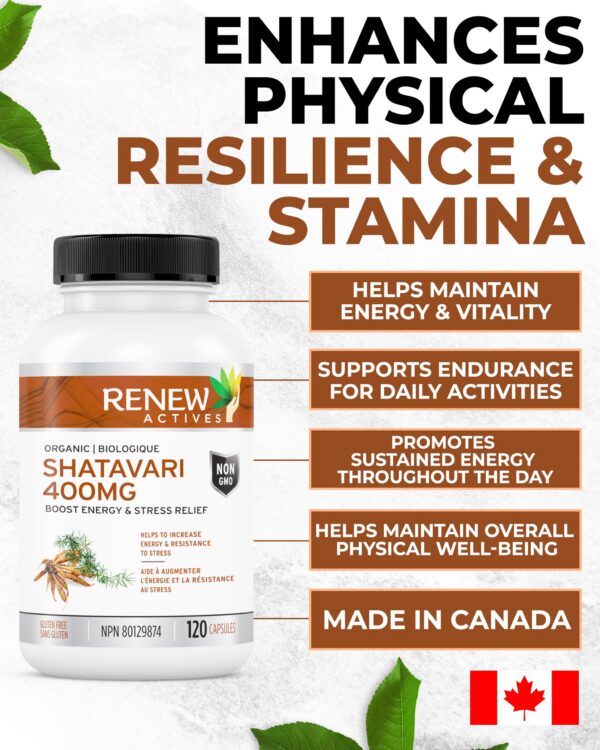 Detalle cápsula Shatavari para energía y resistencia Renew Actives