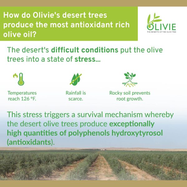 Detalle cápsulas antioxidantes Olivie extracto hoja de oliva natural