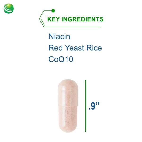 Detalle cápsulas BioLipotrol Nutra Biogenesis