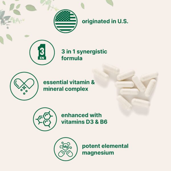 Version 1.0.0 Detalle cápsulas citrato de magnesio Micro Ingredients