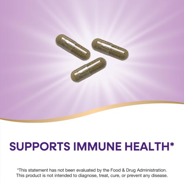 Detalle cápsulas de echinacea purpurea Nature's Way