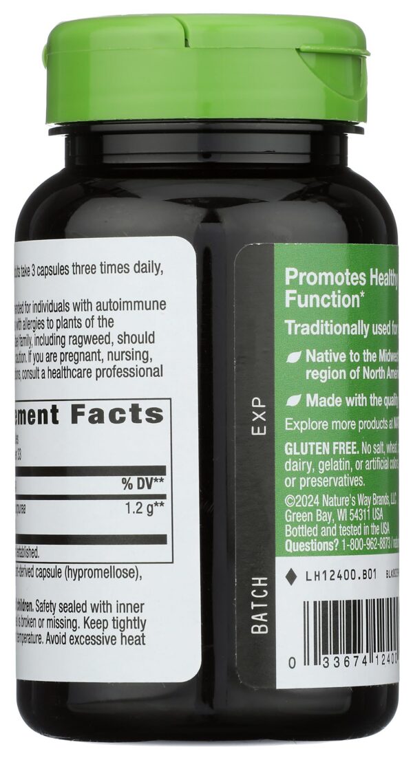 Detalle cápsulas Echinacea Purpurea suplemento