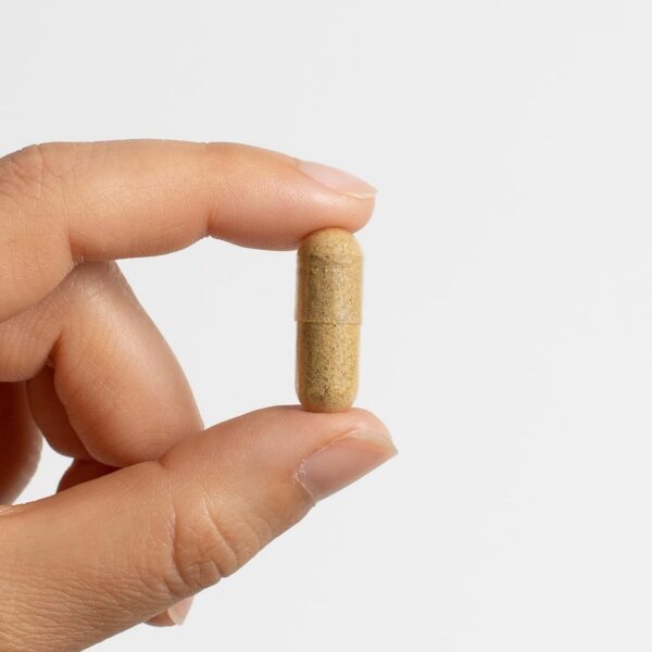 Version 1.0.0 Detalle cápsulas fórmula colon herbales Food Over Drugs