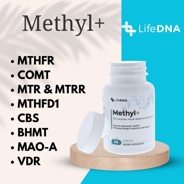 Detalle cápsulas LIFEDNA Methyl+ multivitamínico metilado