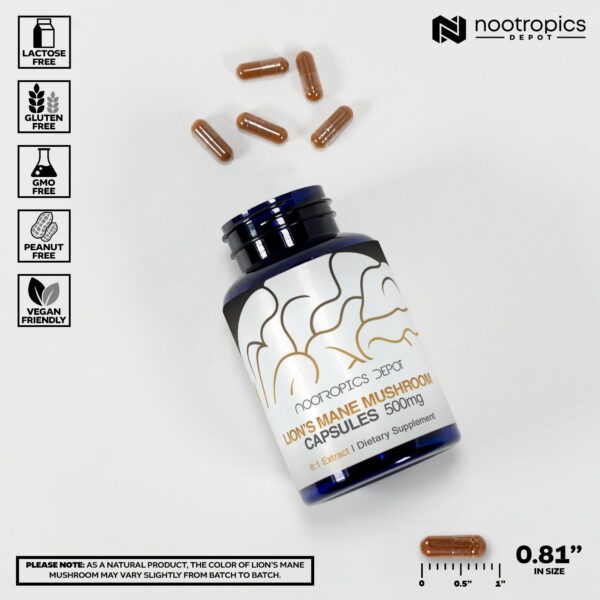 frasco cápsulas melena de león nootropics depot