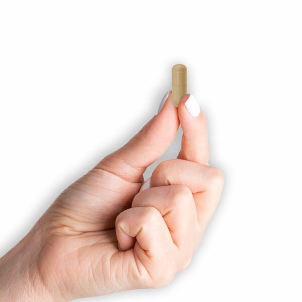 detalle-capsulas-moringa-mason-natural-suplemento