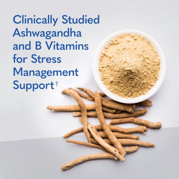 Version 1.0.0 Detalle de cápsulas del suplemento liposomal