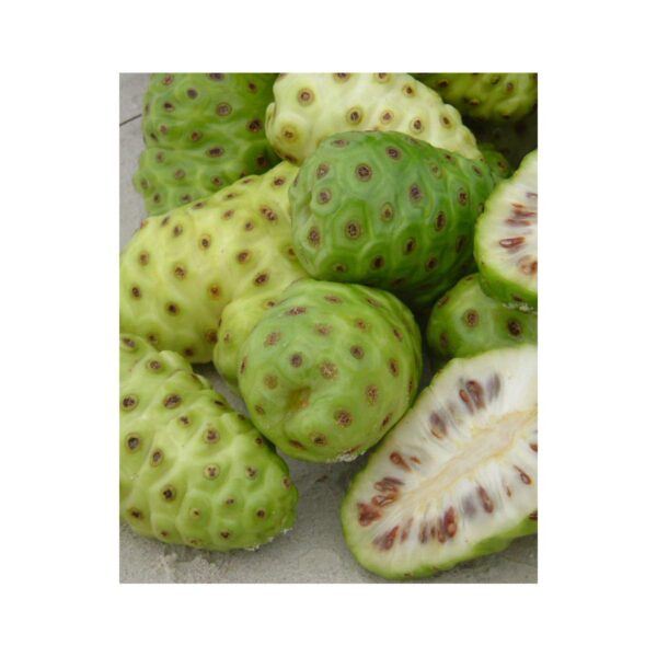 Detalle de cápsulas Royal Noni Fiji en frasco transparente