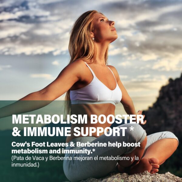 Version 1.0.0 Detalle cápsulas suplementarias Fuenvegtal extracto wereke