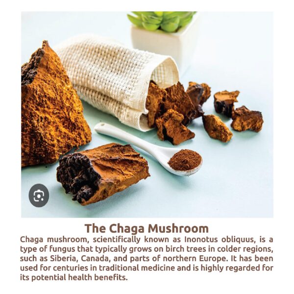 Detalle de cápsulas veganas de ChagaWell para salud y vitalidad