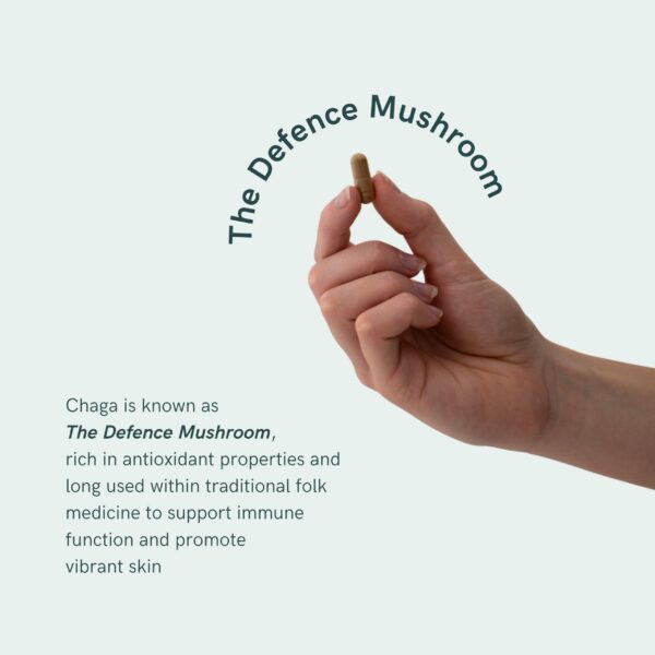 Detalle de cápsulas vegetales con extracto puro de Chaga