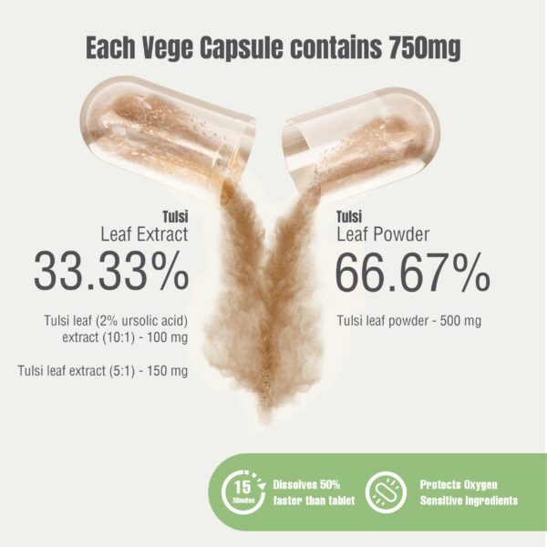 Detalle cápsulas vegetales Tulsi Herbsforever