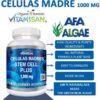Detalle cápsulas Vitamisan células madre