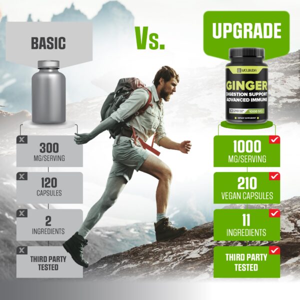 Detalle cápsulas WELBUDA jengibre y mezclas naturales 210 unidades