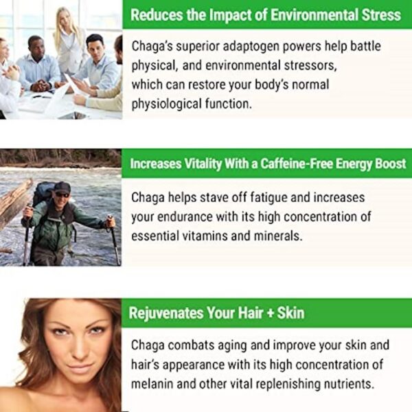 Detalle del empaque del extracto de chaga Sayan con té y shilajit