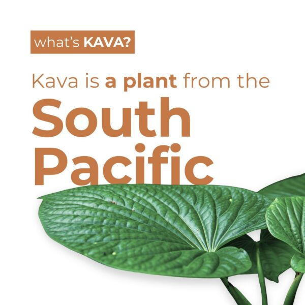 Version 1.0.0 detalle envase bebida Leilo con kava y l-teanina