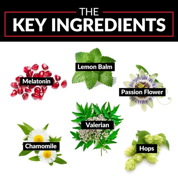 Detalle envase y contenido Somnapure Force Factor