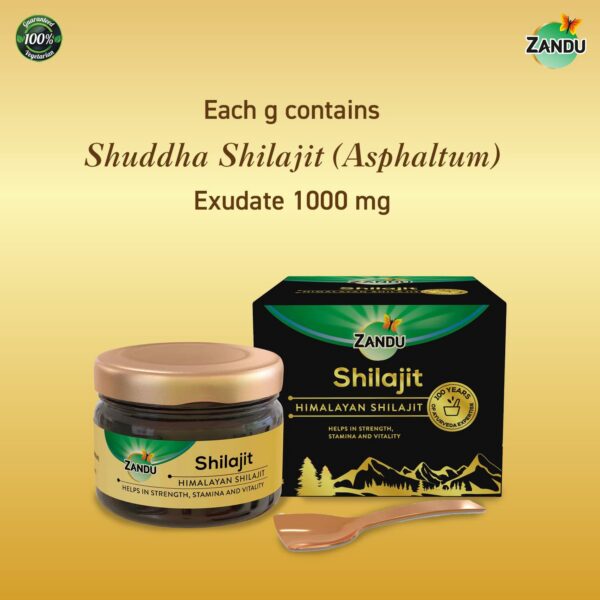Detalle envase resina Shilajit Zandu Himalaya 20 gramos natural