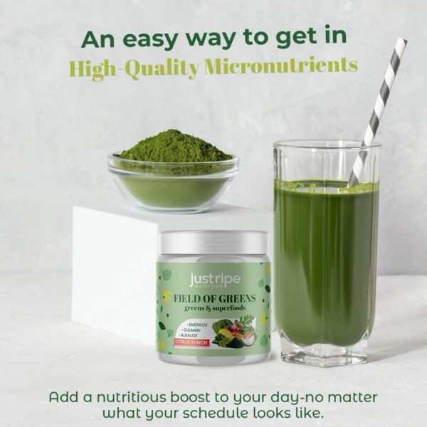 Version 1.0.0 Detalle etiqueta Field of Greens superalimento salud intestinal