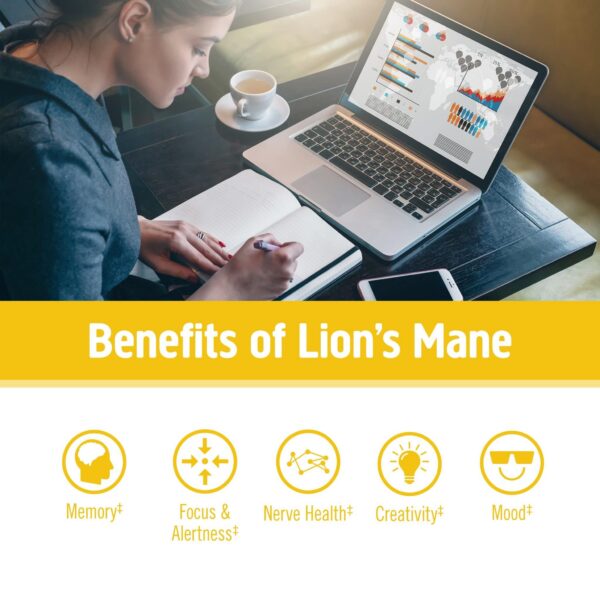 Polvo de hongos adaptogénicos para equilibrio y estrés