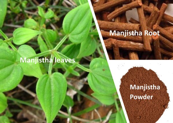 Detalle etiqueta polvo Manjistha orgánico Organic Aura