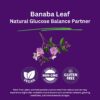 Suplemento vegano hoja banaba antioxidante libre de gluten Paradise