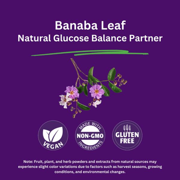 Suplemento vegano hoja banaba antioxidante libre de gluten Paradise