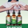 Detalle del extracto líquido de Kalanchoe Pinnata Ozengluz