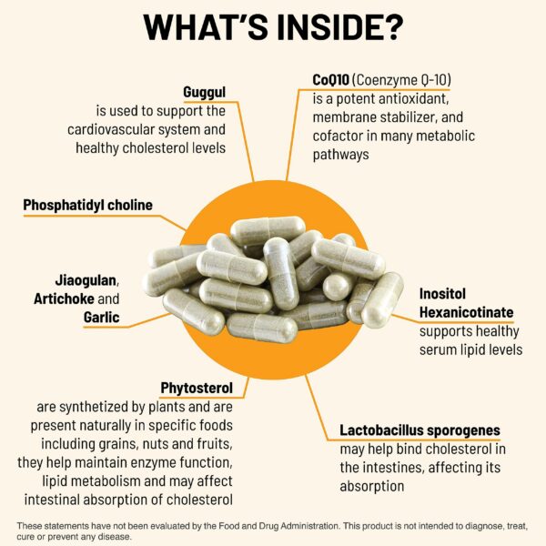 Version 1.0.0 Detalle frasco suplementario Mountain Peak Nutritionals colesterol