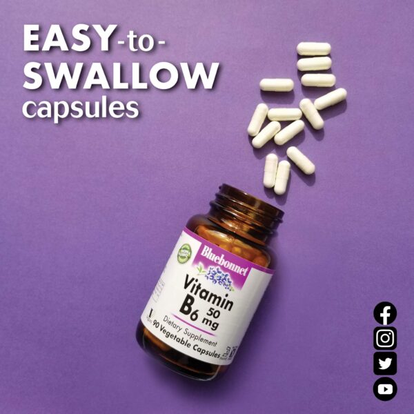 Version 1.0.0 Detalle frasco vitamina B6 Bluebonnet