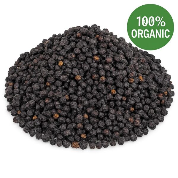 Detalle de fruta de saúco secada orgánica