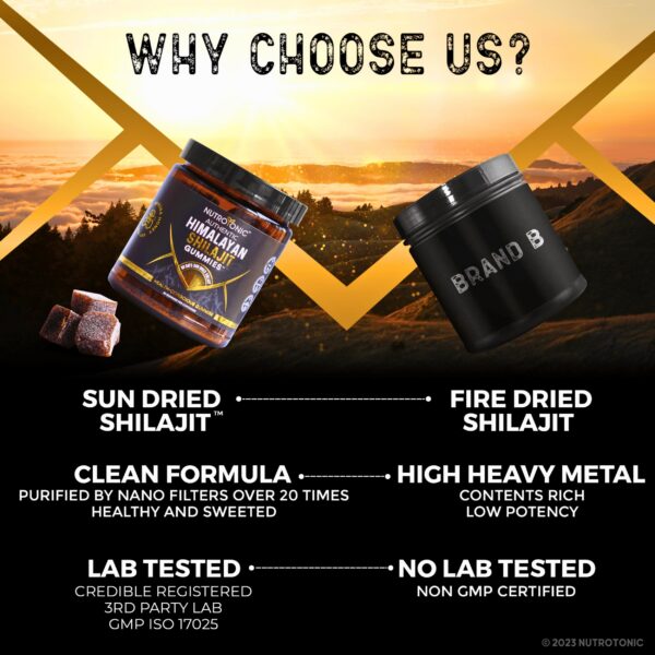 Version 1.0.0 Gomitas saludables NutroTonic para salud celular y mente