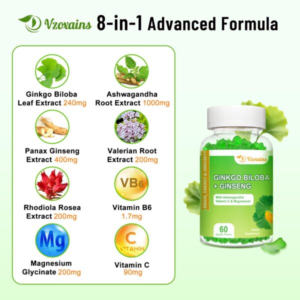 Version 1.0.0 Tarro de gomitas VZOXAINS Ginkgo Biloba mezcla saludable