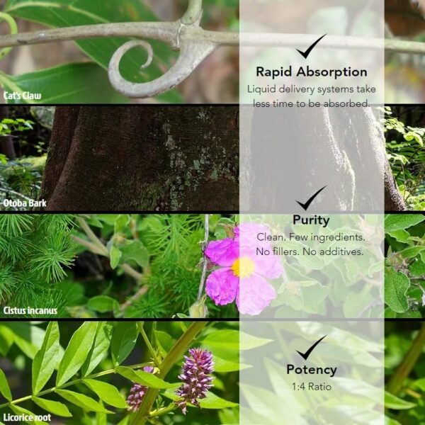 Detalle gotero y frasco Wildcraft Herbs extracto herbal