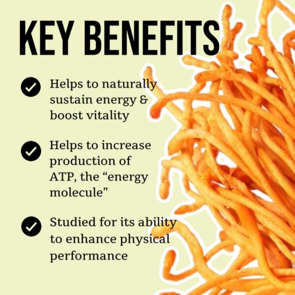 Detalle gotero tintura Cordyceps North Spore 4oz