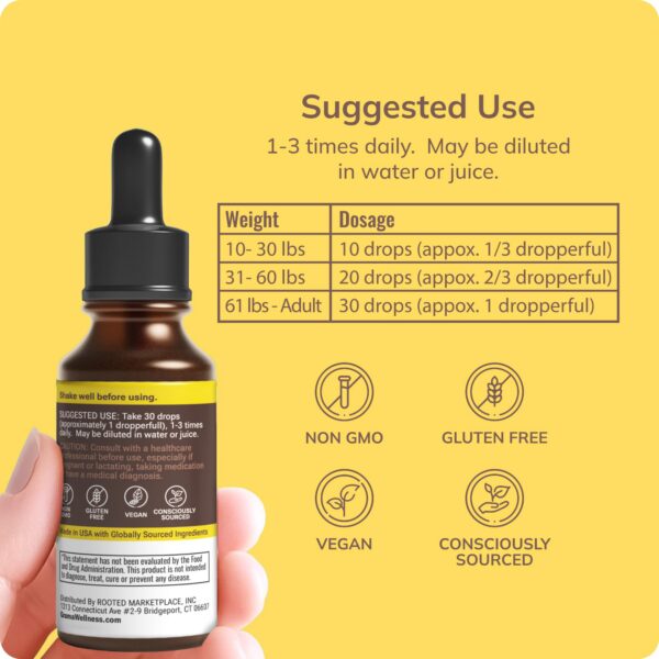 Detalle gotero tintura Echinacea Goldenseal Grama Wellness