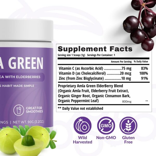 Polvo antioxidante Amla Green polvo concentrado amla 20x