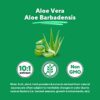 Detalle ingredientes cápsulas Aloe Vera Vitapia
