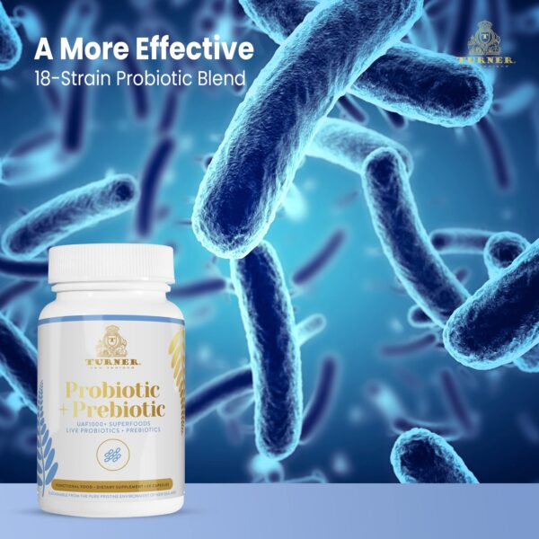 Detalle ingredientes cepas probióticas TURNER suplemento